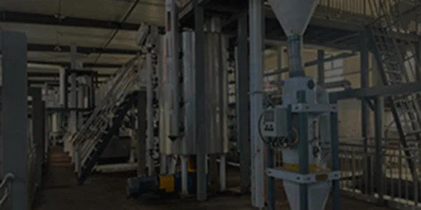 Edible Oil Production Line