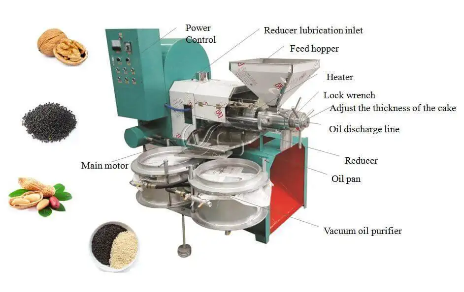 Technical layout of commercial-grade oil press unit