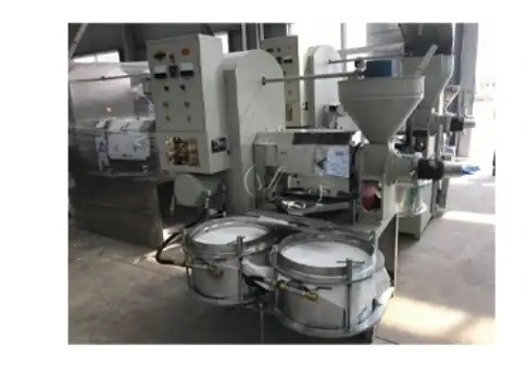 Automatic hot oil press machine for commercial use