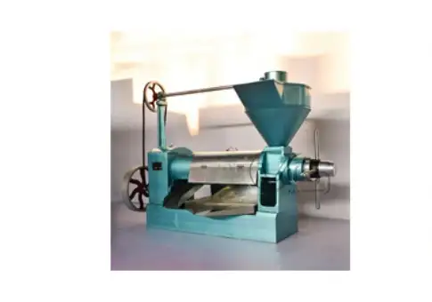 Stainless steel peanut oil pressing equipment