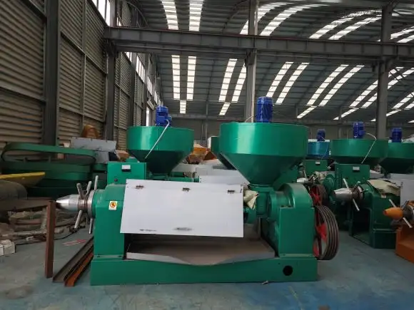 Cold press oil machine suitable for health-grade edible oil