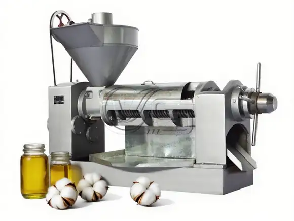 Industrial cottonseed oil press machine in operation