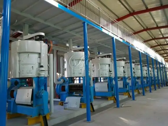 Zhengzhou VOS oil production line for peanut oil extraction