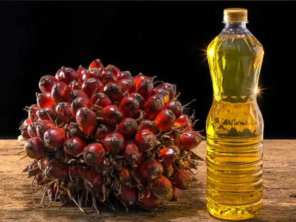 Vos oil production plant for palm oil