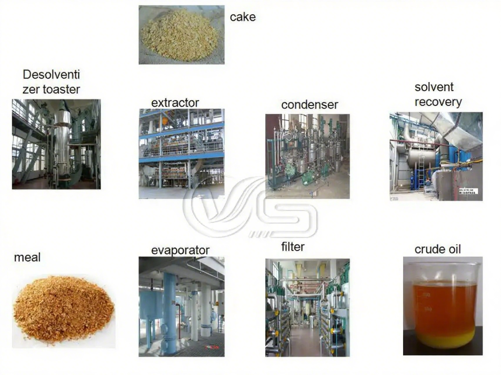 Energy-efficient 30TPD soybean oil line for edible oil production