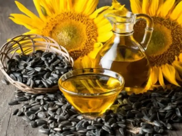 Vos oil production plant for sunflower seeds