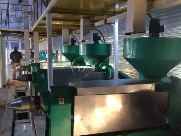 High-efficiency screw oil press for peanut, soybean, and sunflower seed oil extraction.